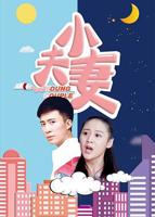 《小夫妻》电视剧免费在线观看完整版