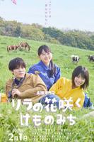 丁香花免费观看完整版